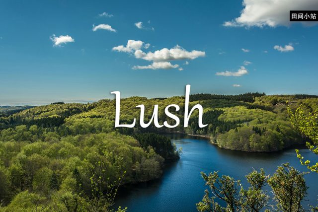 小词详解 | lush