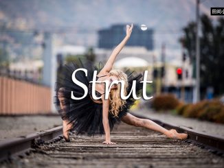 小词详解 | strut