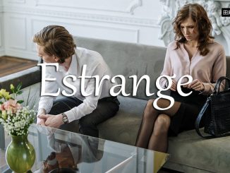 小词详解 | estrange