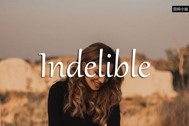 小词详解 | indelible