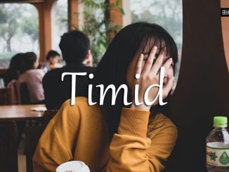 小词详解 | timid