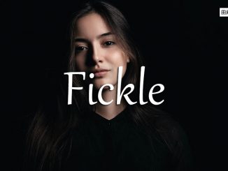 小词详解 | fickle