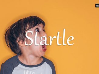 小词详解 | startle