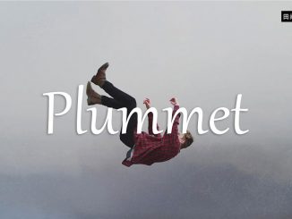 小词详解 | plummet