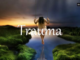 小词详解 | trauma