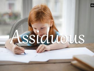 小词详解 | assiduous