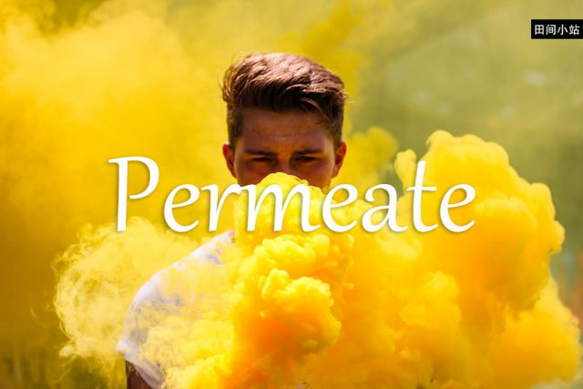 小词详解 | permeate