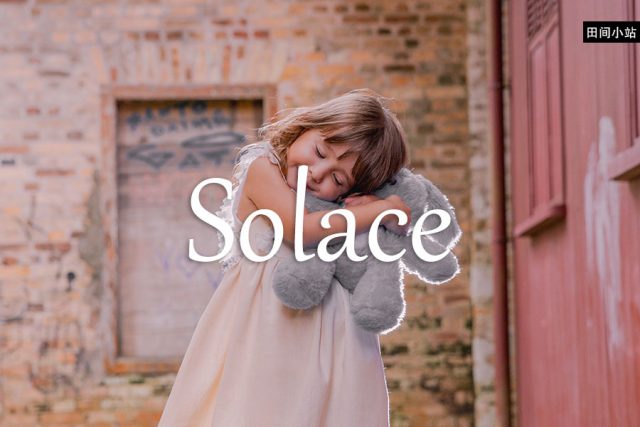 小词详解 | solace