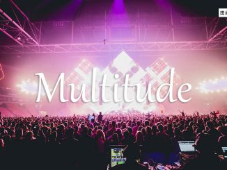 小词详解 | multitude