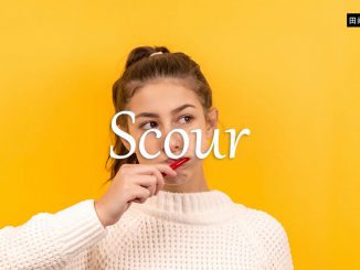 小词详解 | scour