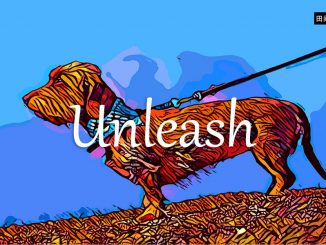 小词详解 | unleash