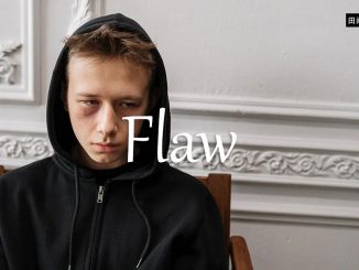 小词详解 | flaw