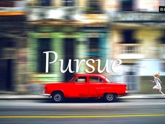 小词详解 | pursue