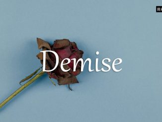 小词详解 | demise