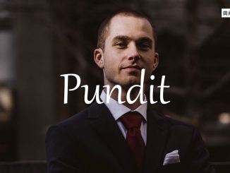 小词详解 | pundit