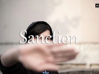 小词详解 | sanction