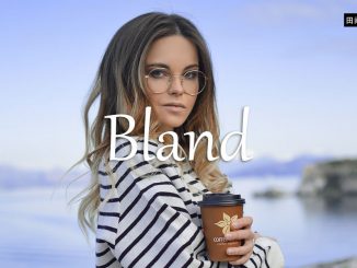 小词详解 | bland