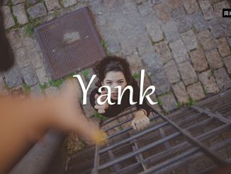 小词详解 | yank