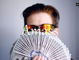 小词详解 | amass