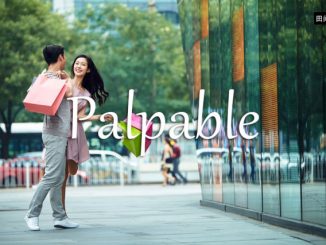 小词详解 | palpable