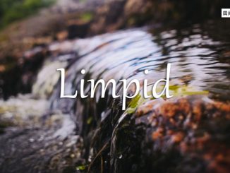 小词详解 | limpid