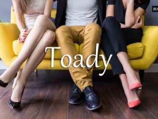 小词详解 | toady