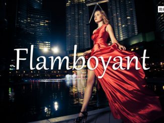 小词详解 | flamboyant