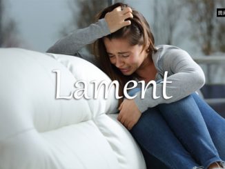 小词详解 | lament