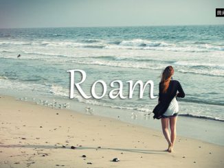 小词详解 | roam