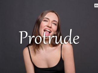 小词详解 | protrude