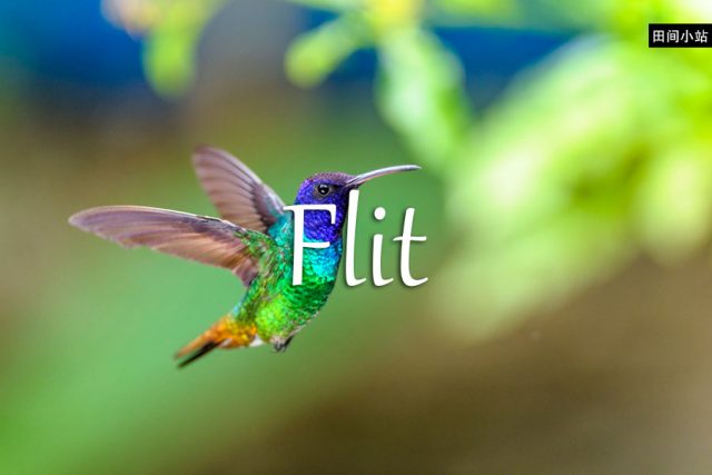 小词详解 | flit