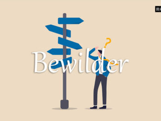 小词详解 | bewilder