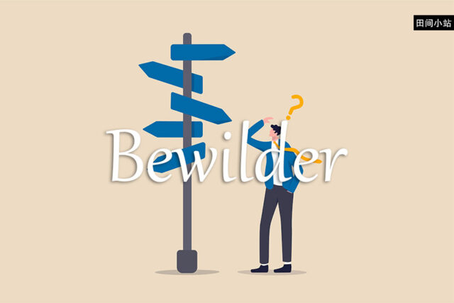 小词详解 | bewilder