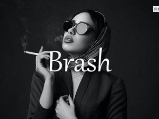 小词详解 | brash