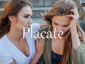 小词详解 | placate