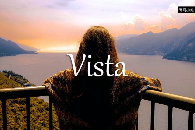 小词详解 | vista