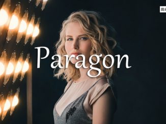 小词详解 | paragon