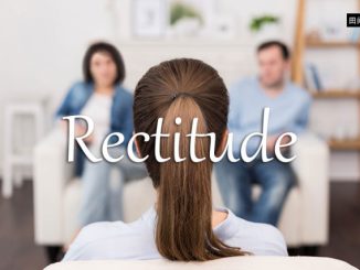 小词详解 | rectitude