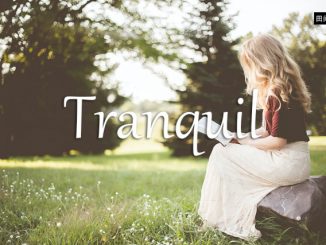 小词详解 | tranquil