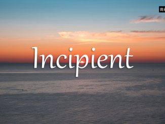 小词详解 | incipient