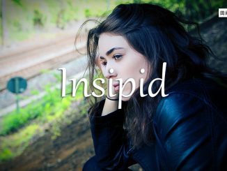 小词详解 | insipid