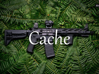 小词详解 | cache