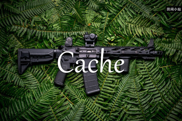 小词详解 | cache