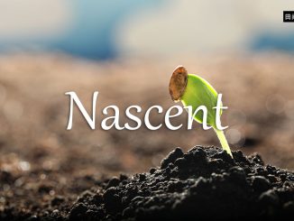 小词详解 | nascent