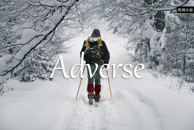 小词详解 | adverse