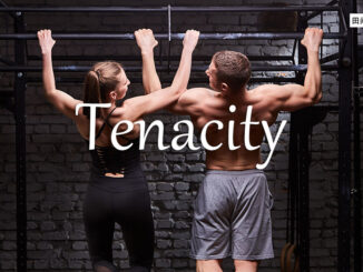 小词详解 | tenacity