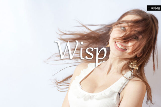 小词详解 | wisp