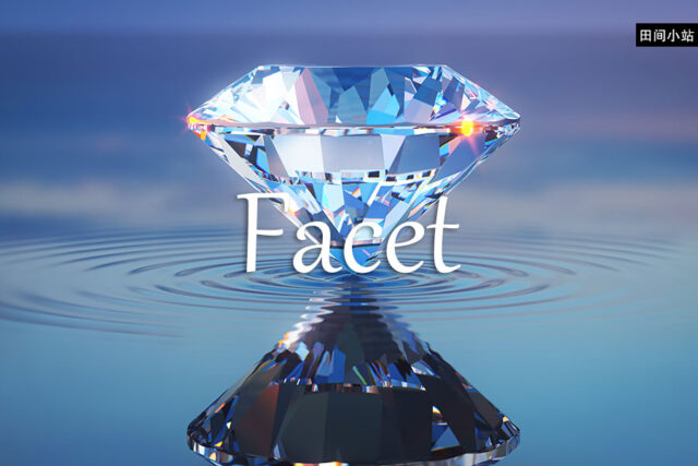 小词详解 | facet