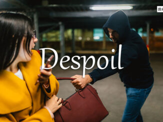 小词详解 | despoil