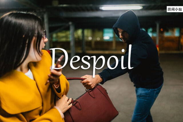 小词详解 | despoil